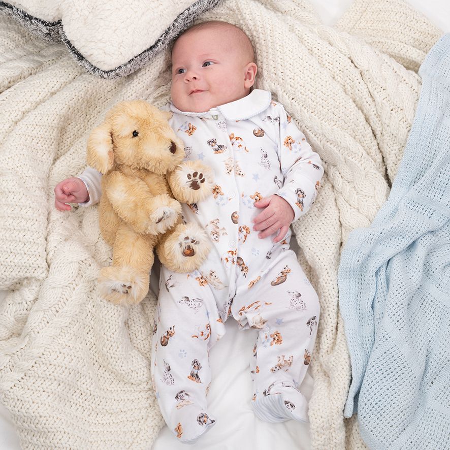 Wrendale Little Wren Babygrow - Little Paws Print image 1