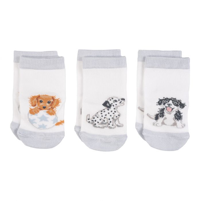 Little Wren Little Paws Socks - 3 pack image 0