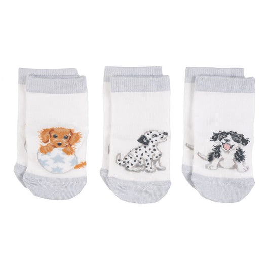 Little Wren Little Paws Socks - 3 pack image 0
