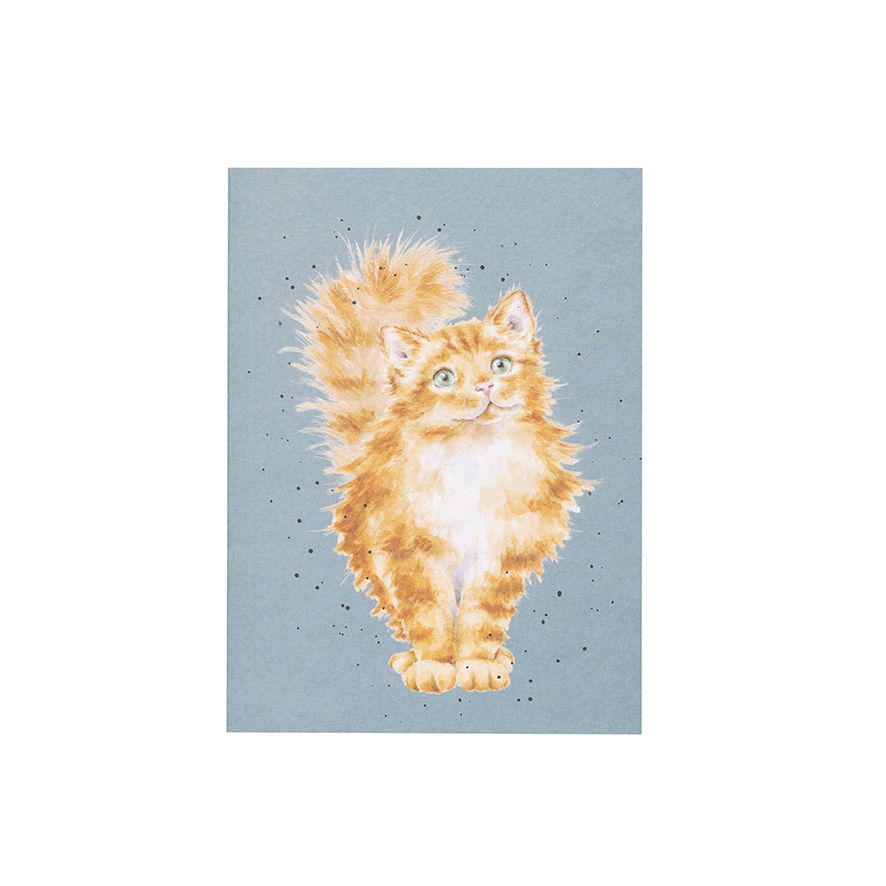 Wrendale "Just Purrr-Fect" Cat Notebook A6 image 0