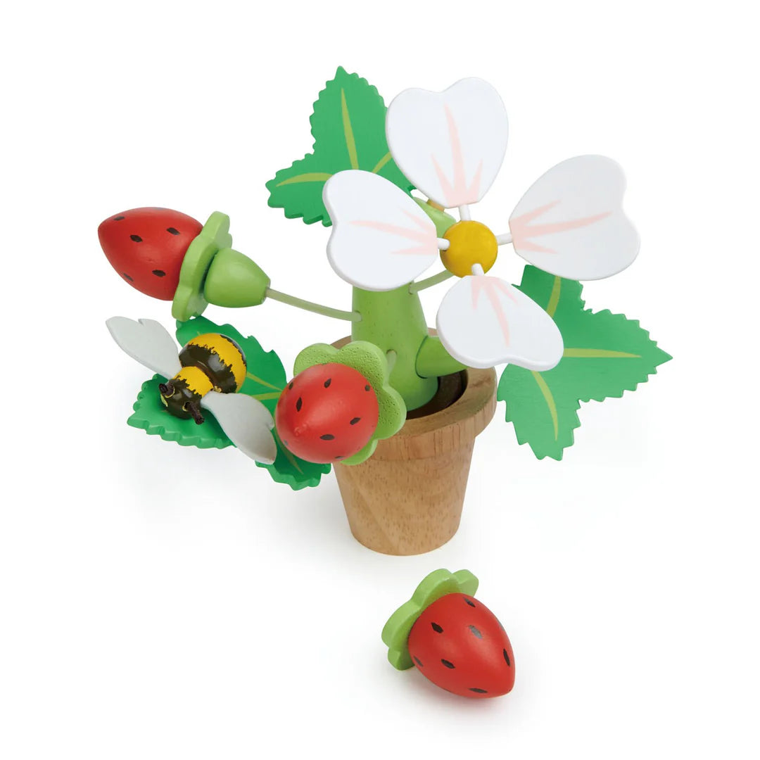 Tender Leaf Strawberry Flower Pot image 0