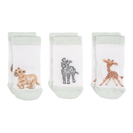 Little Wren Little Savannah Socks - 3 pack image 0
